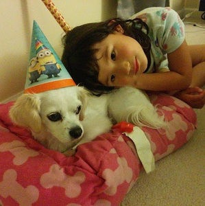 Meet your Posher, Maia